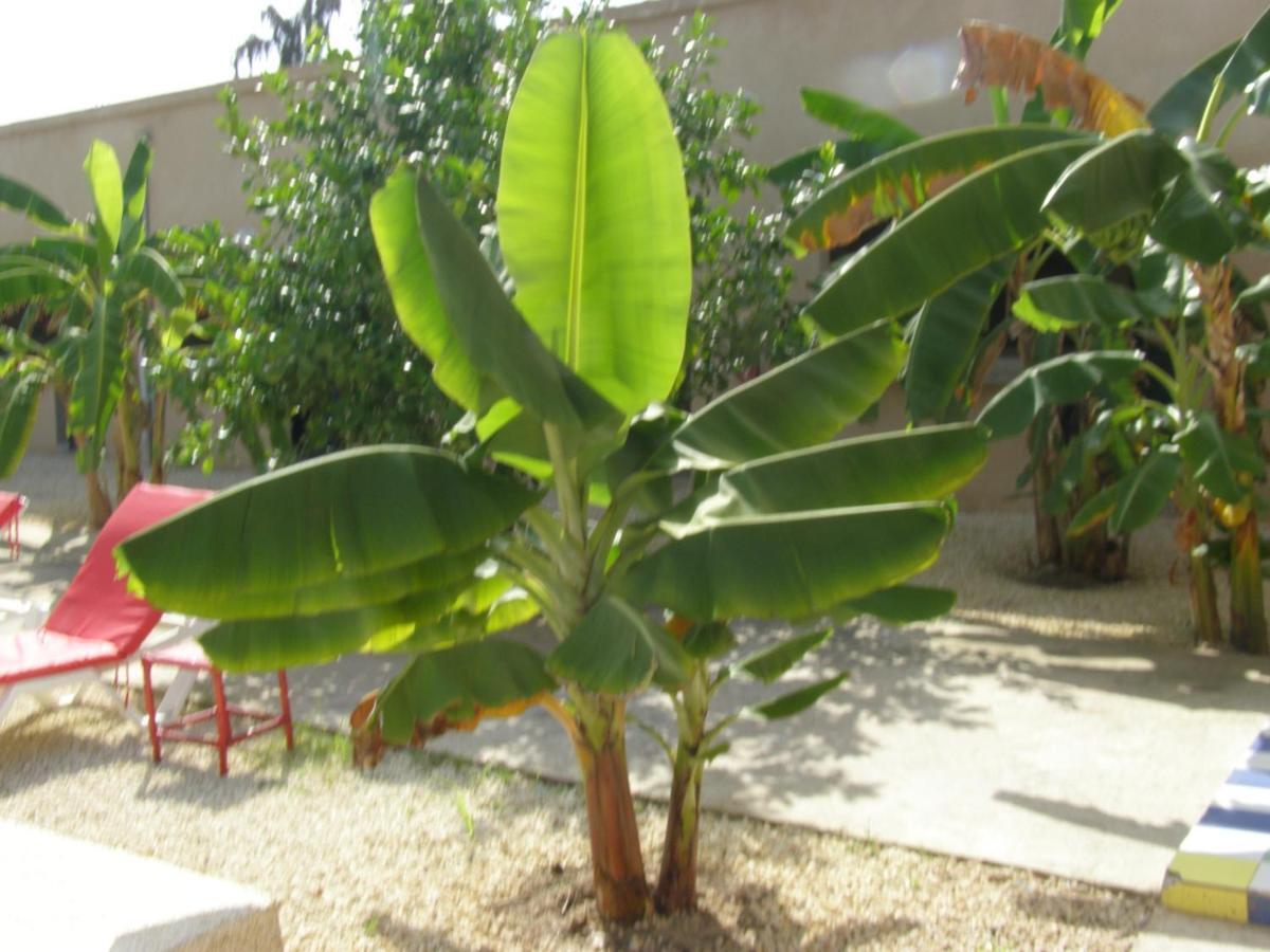 Auberge Keur Ely Ouoran Ngoại thất bức ảnh